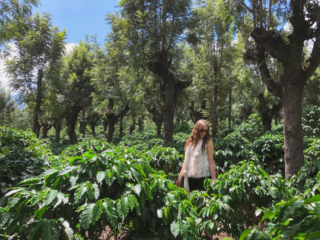 Guatemala - De La Gente Coffee Plantation Tour - Moderately Adventurous